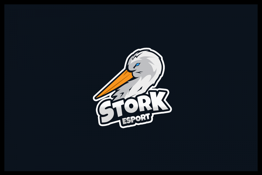 stork esport